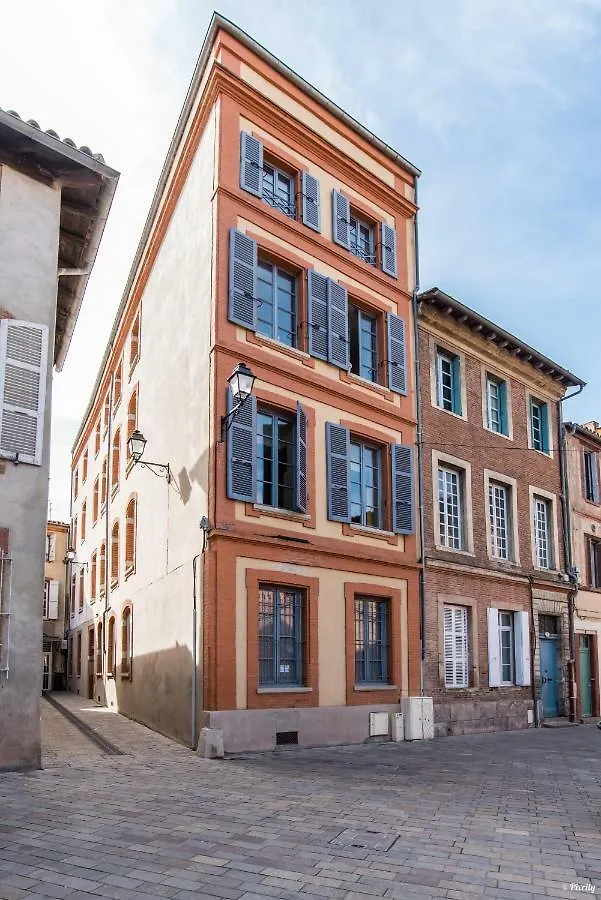 Le Paon - Netflix - Plein Centre Lägenhet Toulouse